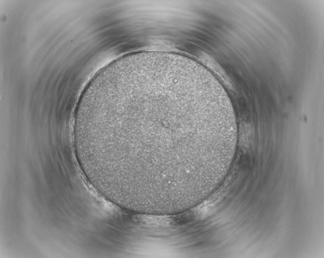 X0000086950856200704231424