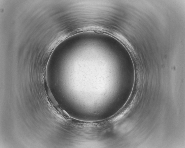 X0000086950857200704231424