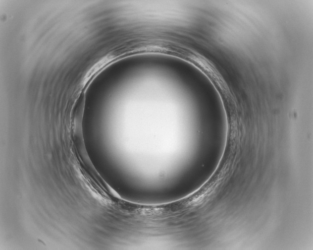 X0000086950858200704231424