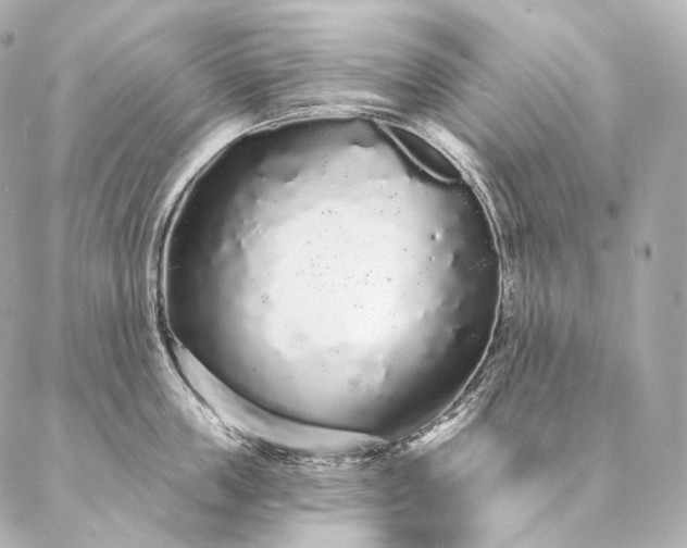 X0000086950859200704231424