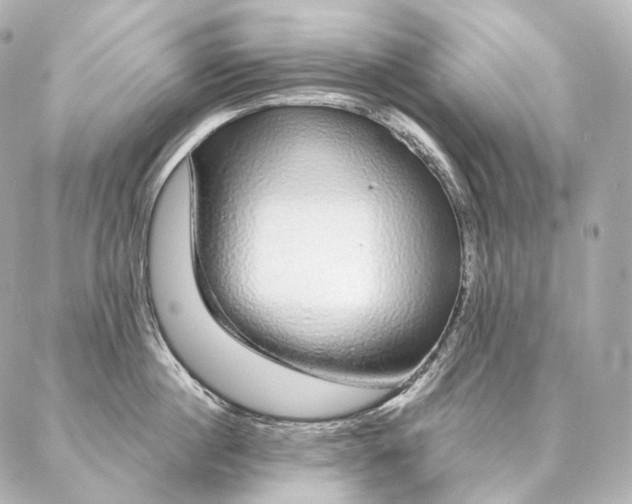 X0000086950860200704231424