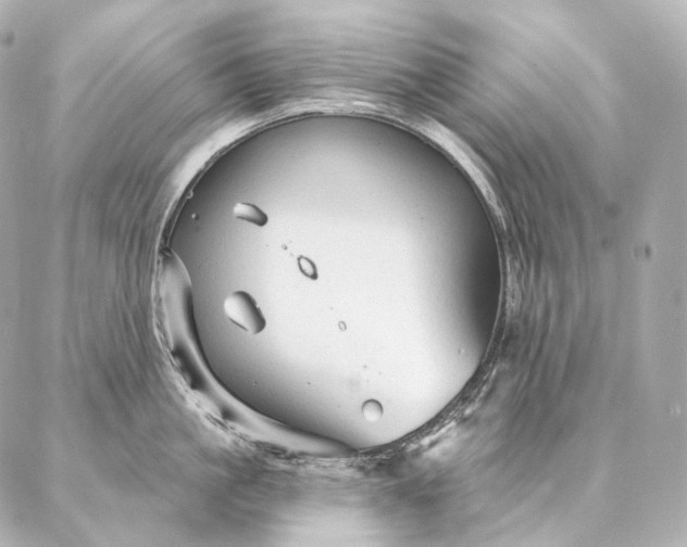 X0000086950861200704231424