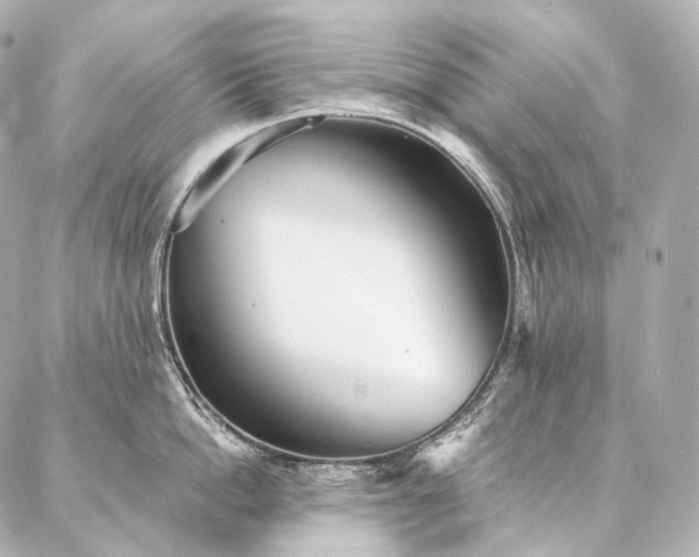 X0000086950862200704231424