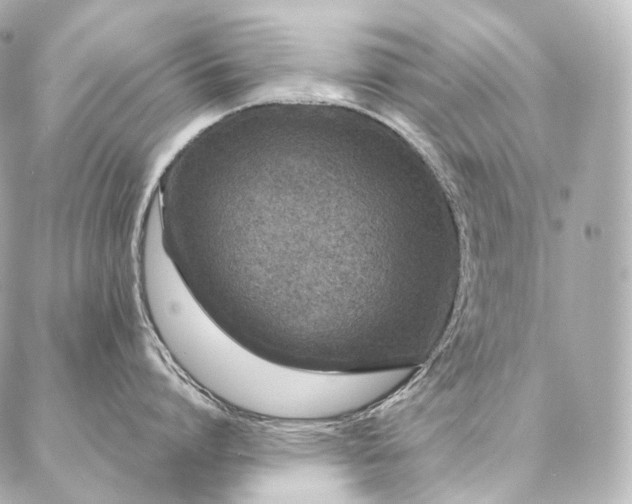 X0000086950864200704231424