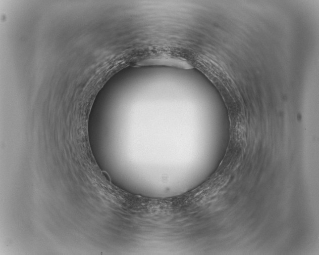 X0000086950865200704231423