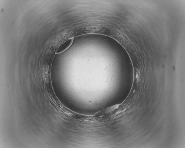 X0000086950867200704231423