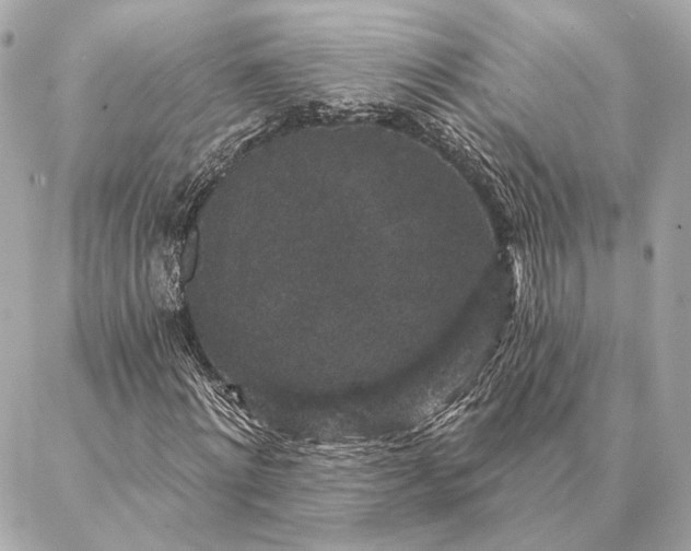 X0000086950868200704231423