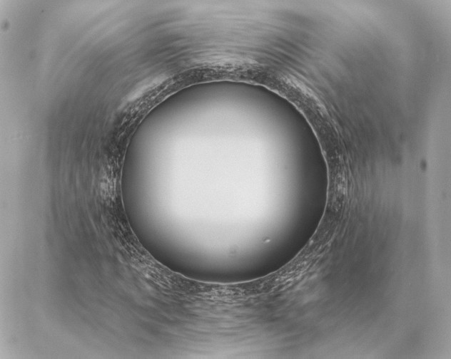 X0000086950869200704231423