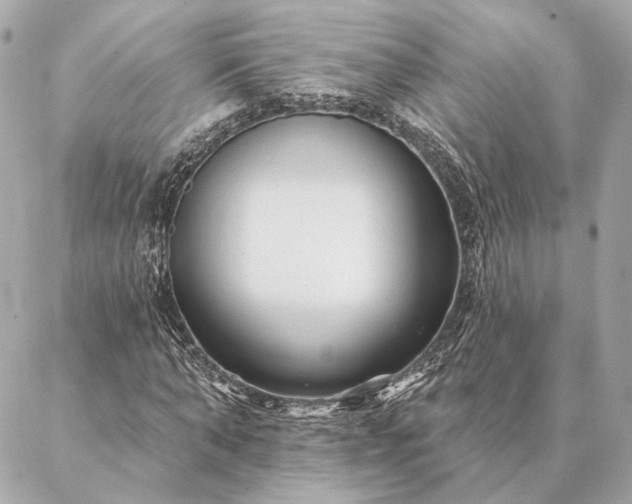 X0000086950870200704231423