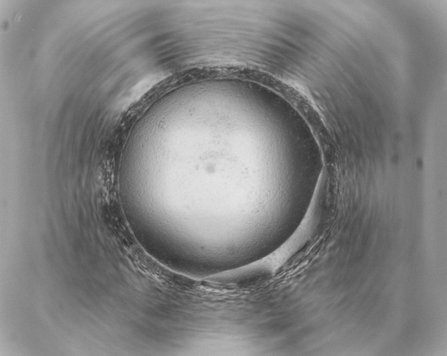 X0000086950871200704231423