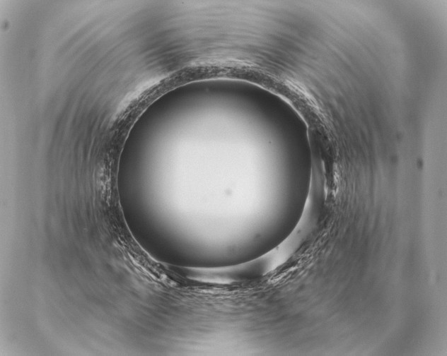 X0000086950872200704231423