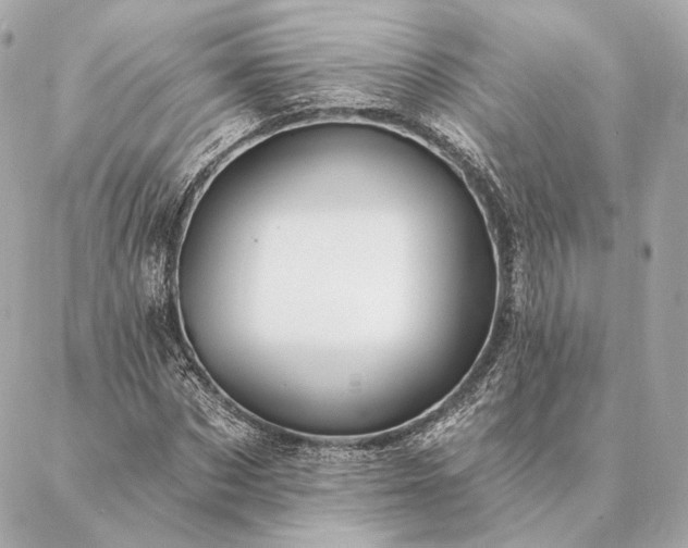 X0000086950873200704231423