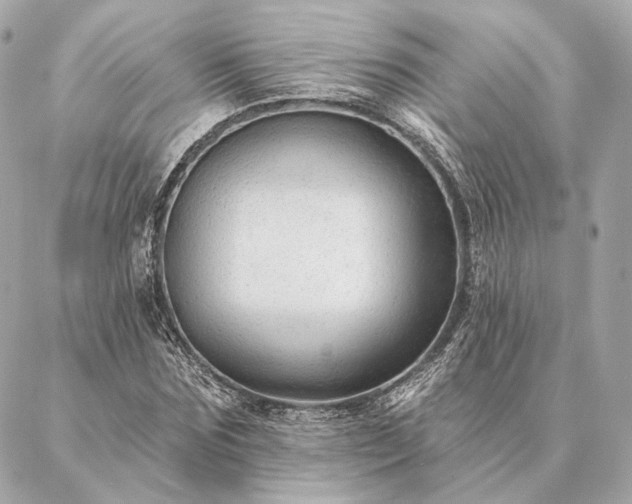 X0000086950875200704231423