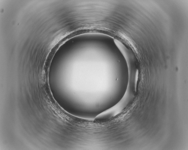 X0000086950876200704231423