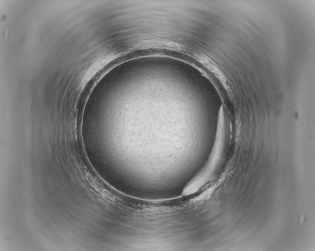 X0000086950877200704231423