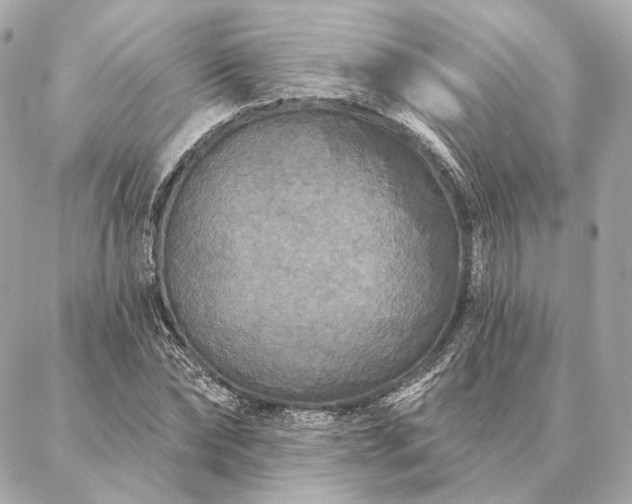 X0000086950878200704231423