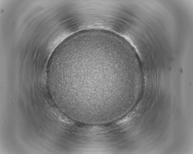 X0000086950879200704231423