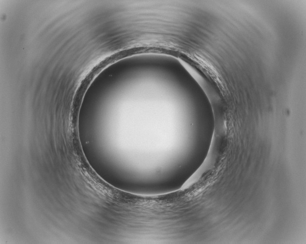 X0000086950880200704231423