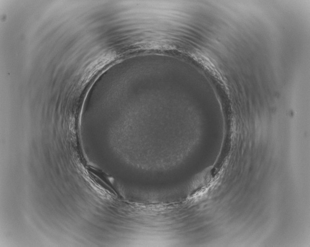 X0000086950881200704231423