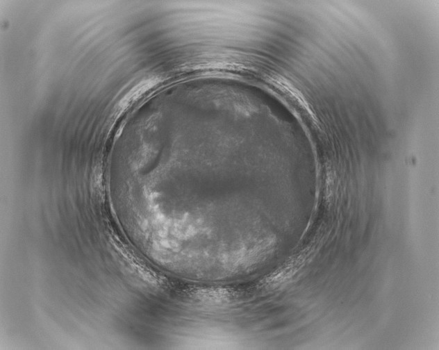 X0000086950882200704231423