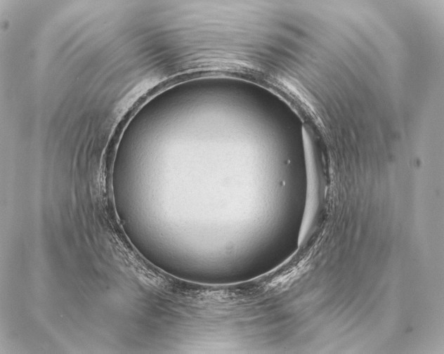 X0000086950883200704231423