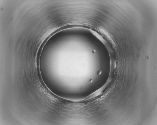 X0000086950884200704231423