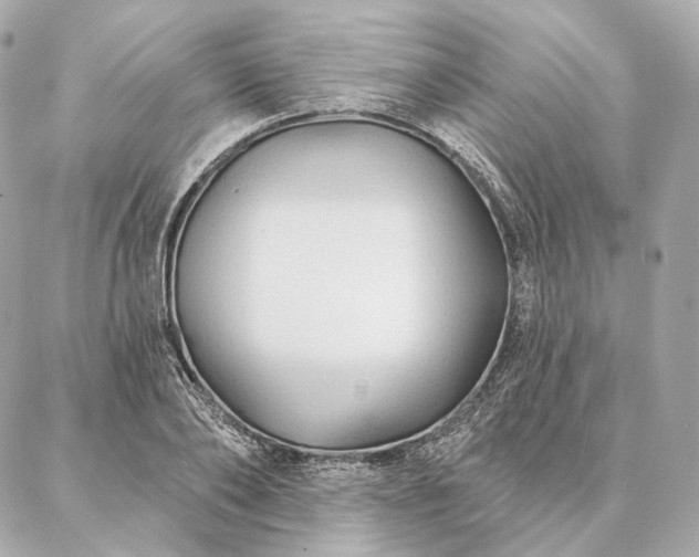 X0000086950886200704231423