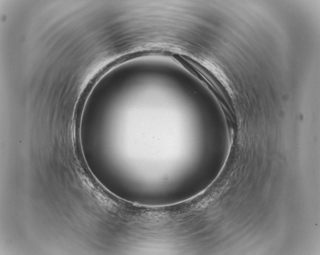 X0000086950888200704231423