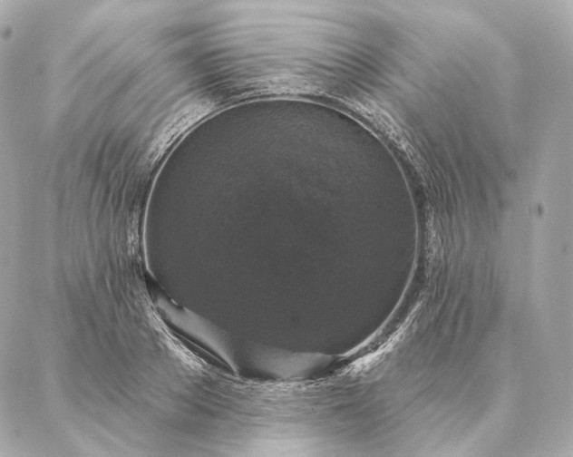 X0000086950889200704231423