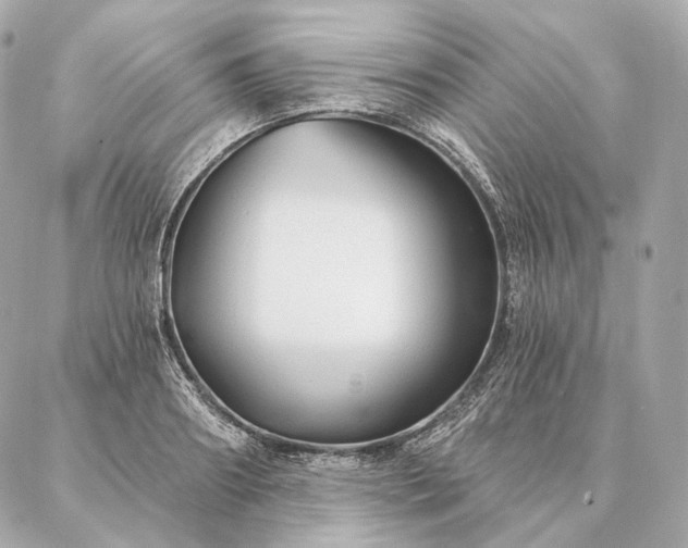 X0000086950890200704231423