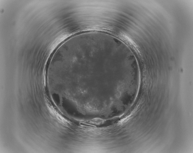 X0000086950892200704231423