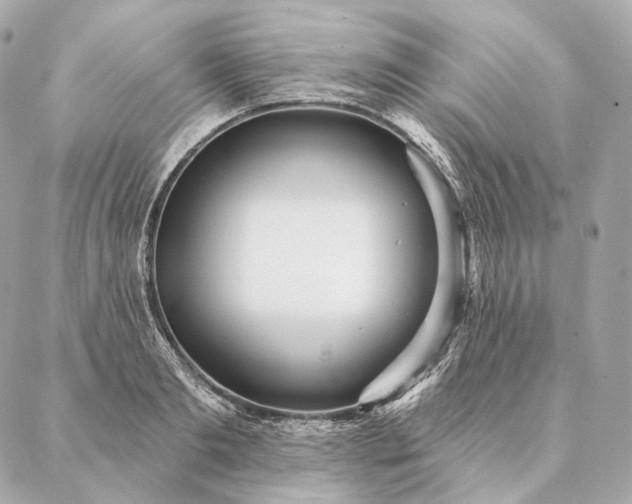 X0000086950893200704231423