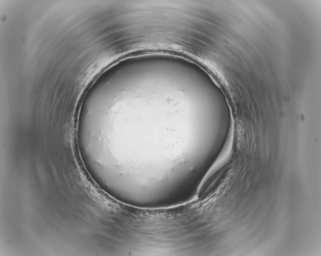 X0000086950895200704231422