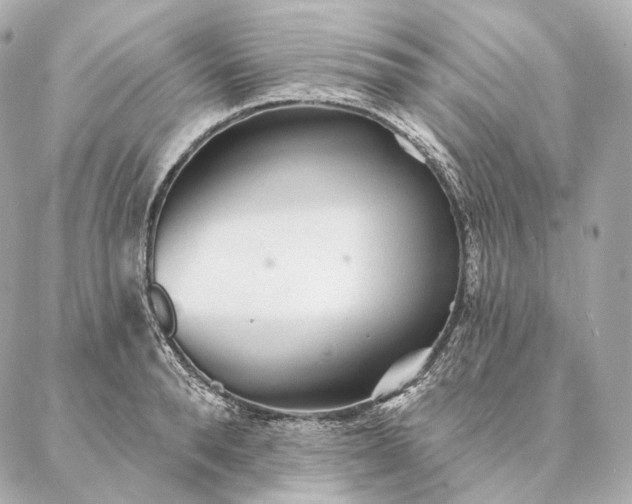 X0000086950896200704231422