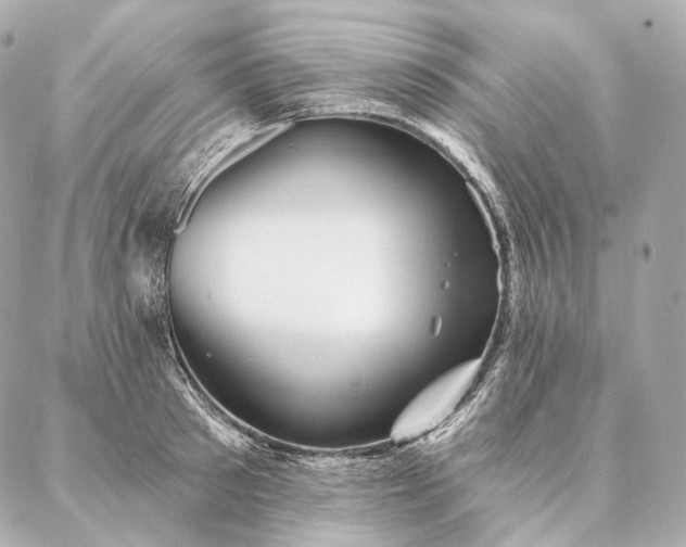 X0000086950897200704231422