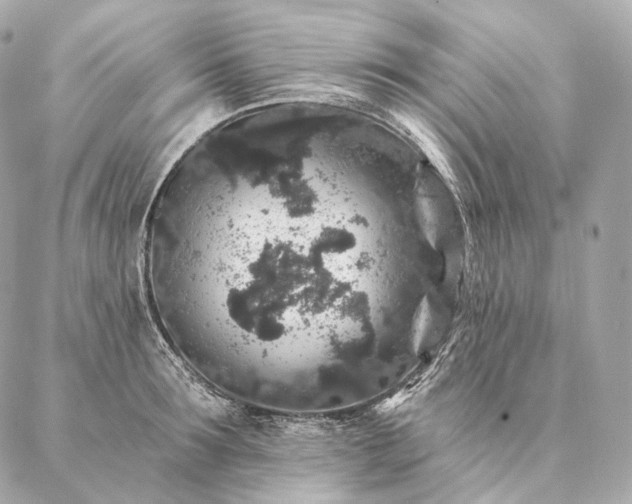 X0000086950899200704231422