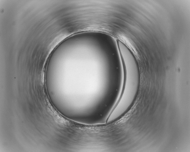 X0000086950900200704231422