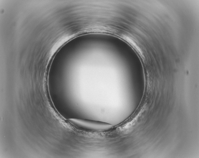 X0000086950901200704231422