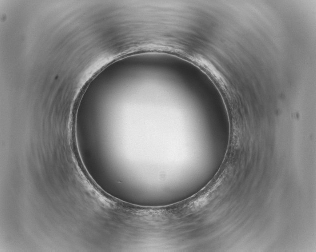 X0000086950902200704231422