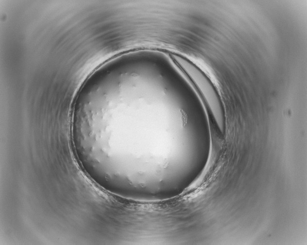 X0000086950903200704231422