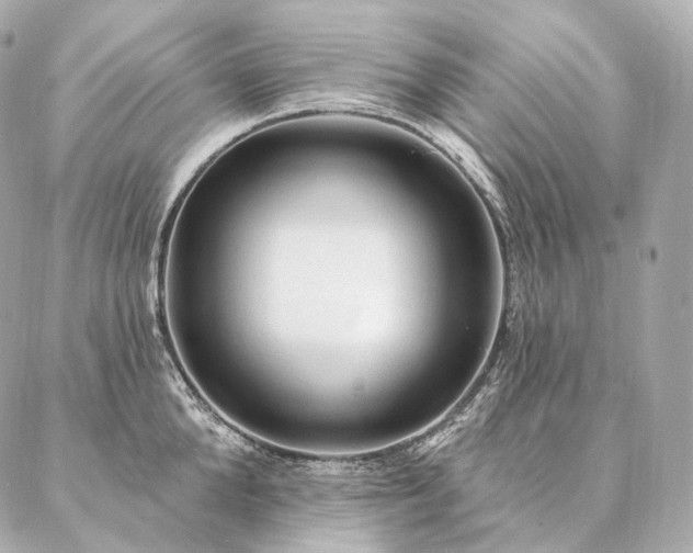 X0000086950904200704231422