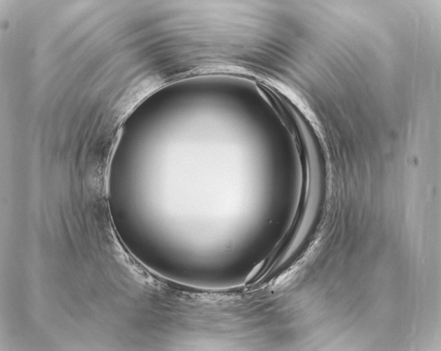 X0000086950905200704231422