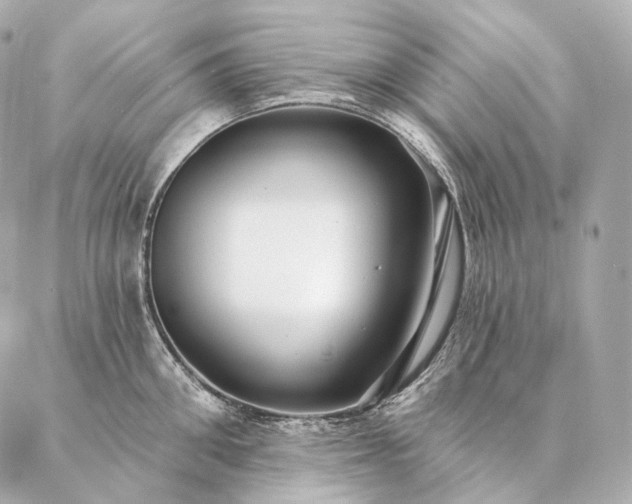 X0000086950906200704231422