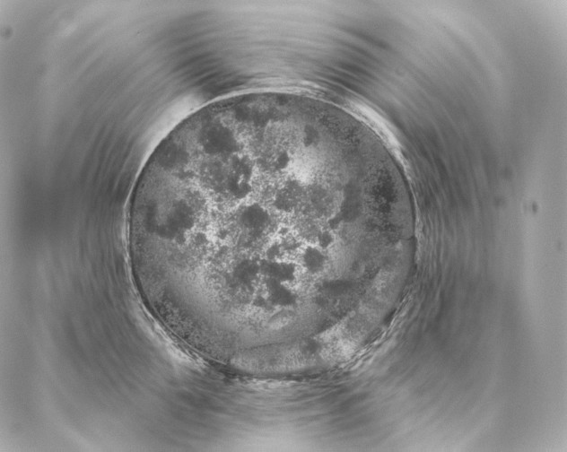 X0000086950907200704231422