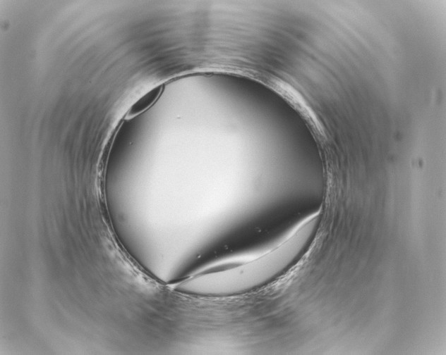 X0000086950908200704231422