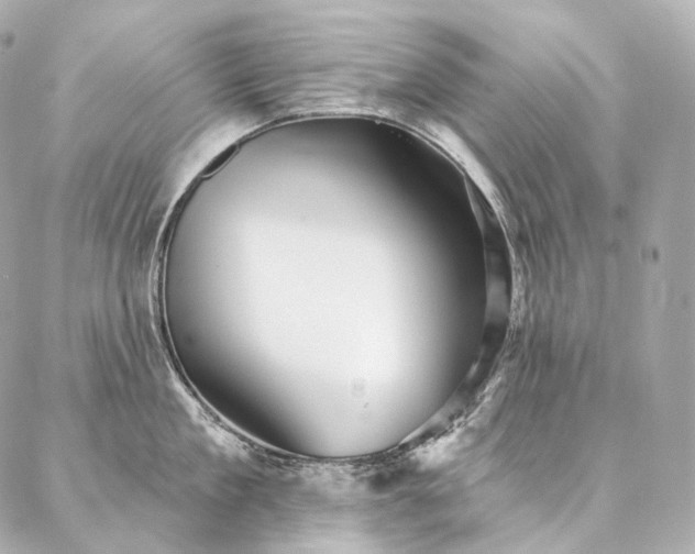 X0000086950909200704231422