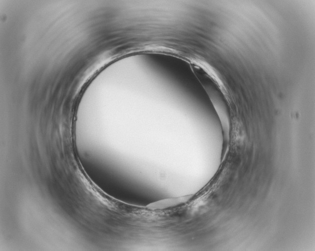 X0000086950910200704231422