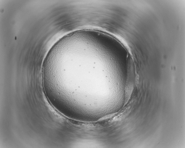 X0000086950911200704231422