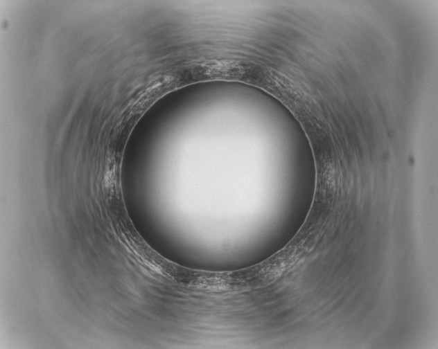 X0000086950914200704231421