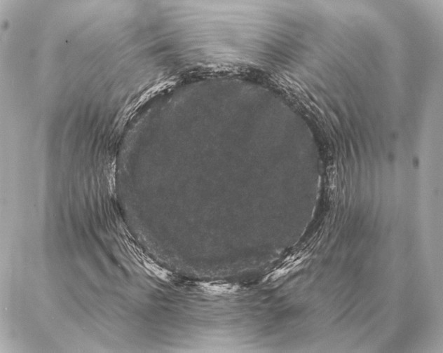 X0000086950916200704231421